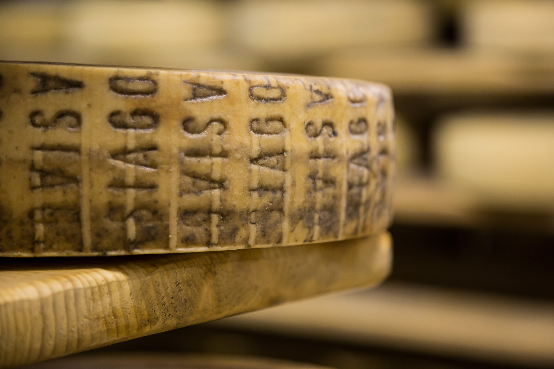 c-Asiago_castiglioni4