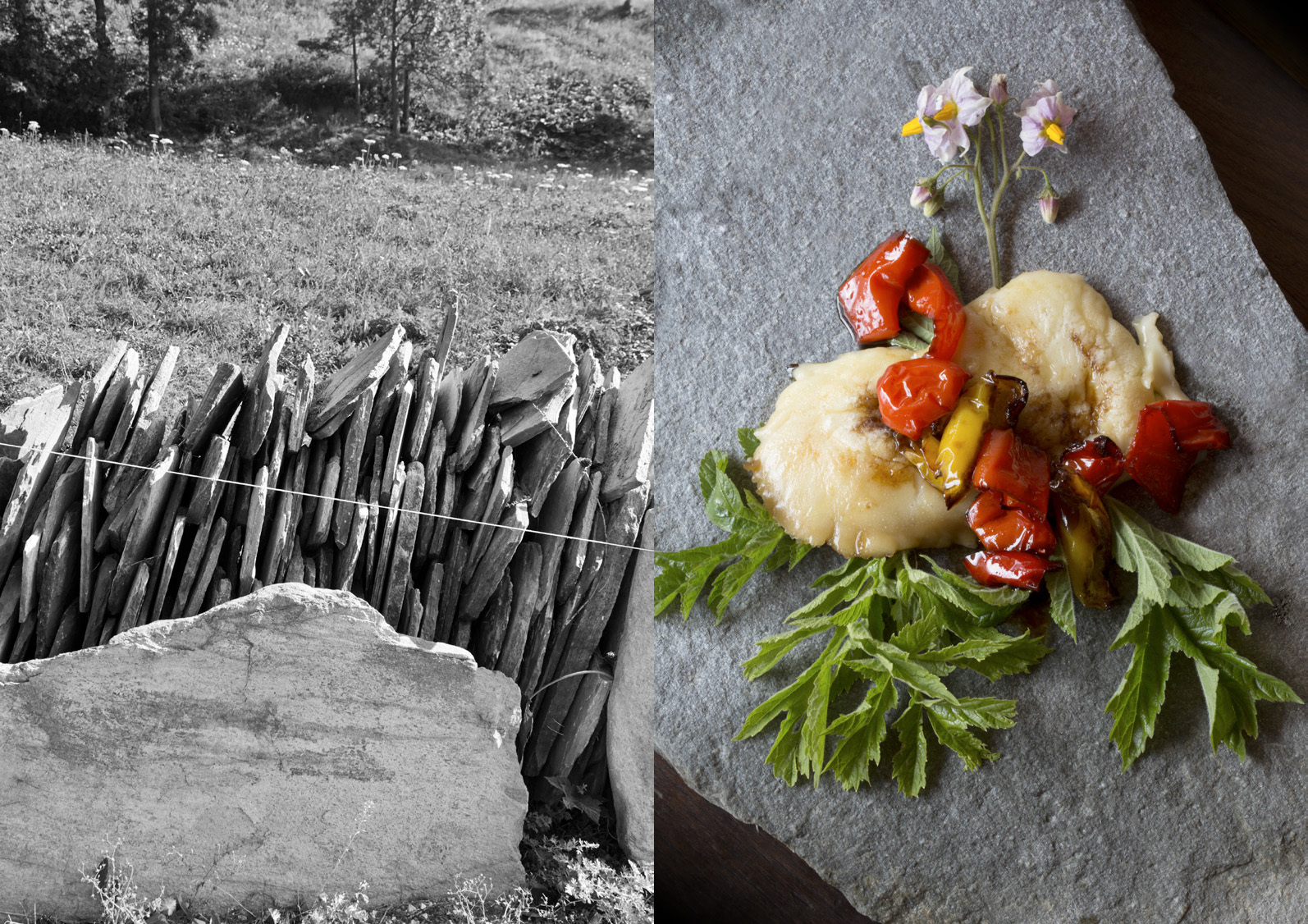 castelmagno_Paolo_Castiglioni_7