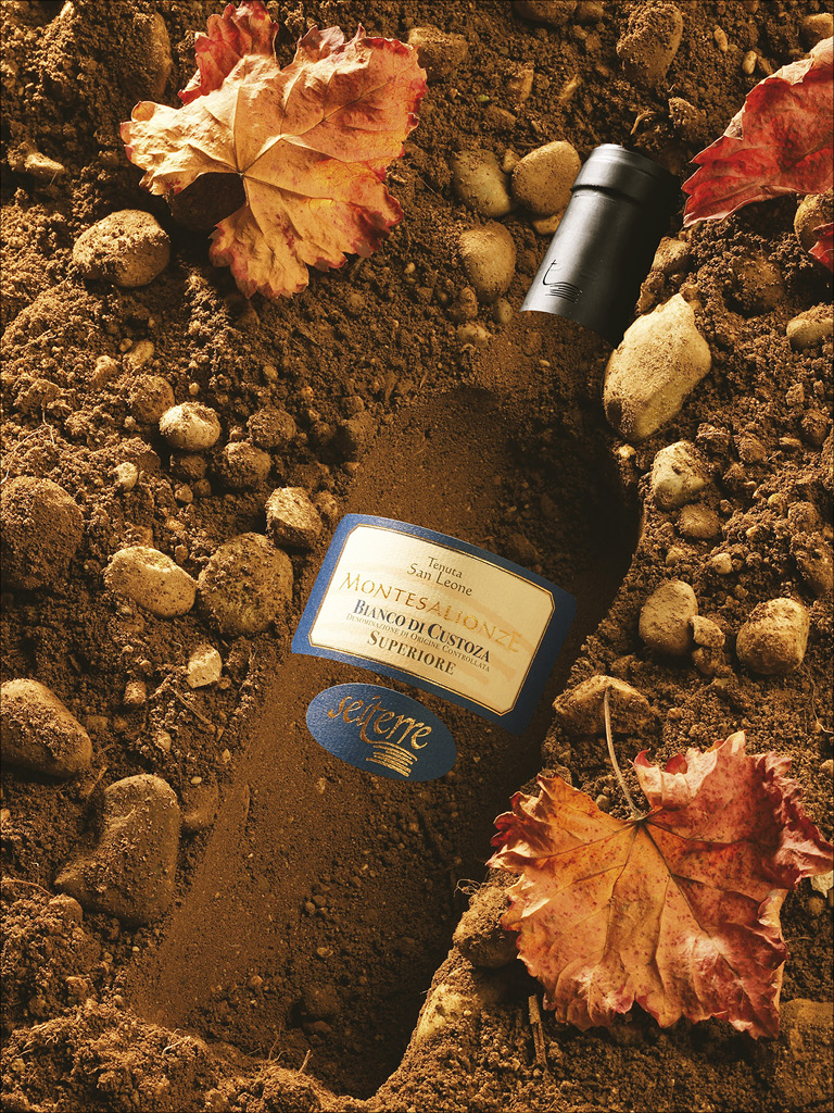 food-vert-foto-castiglioni12