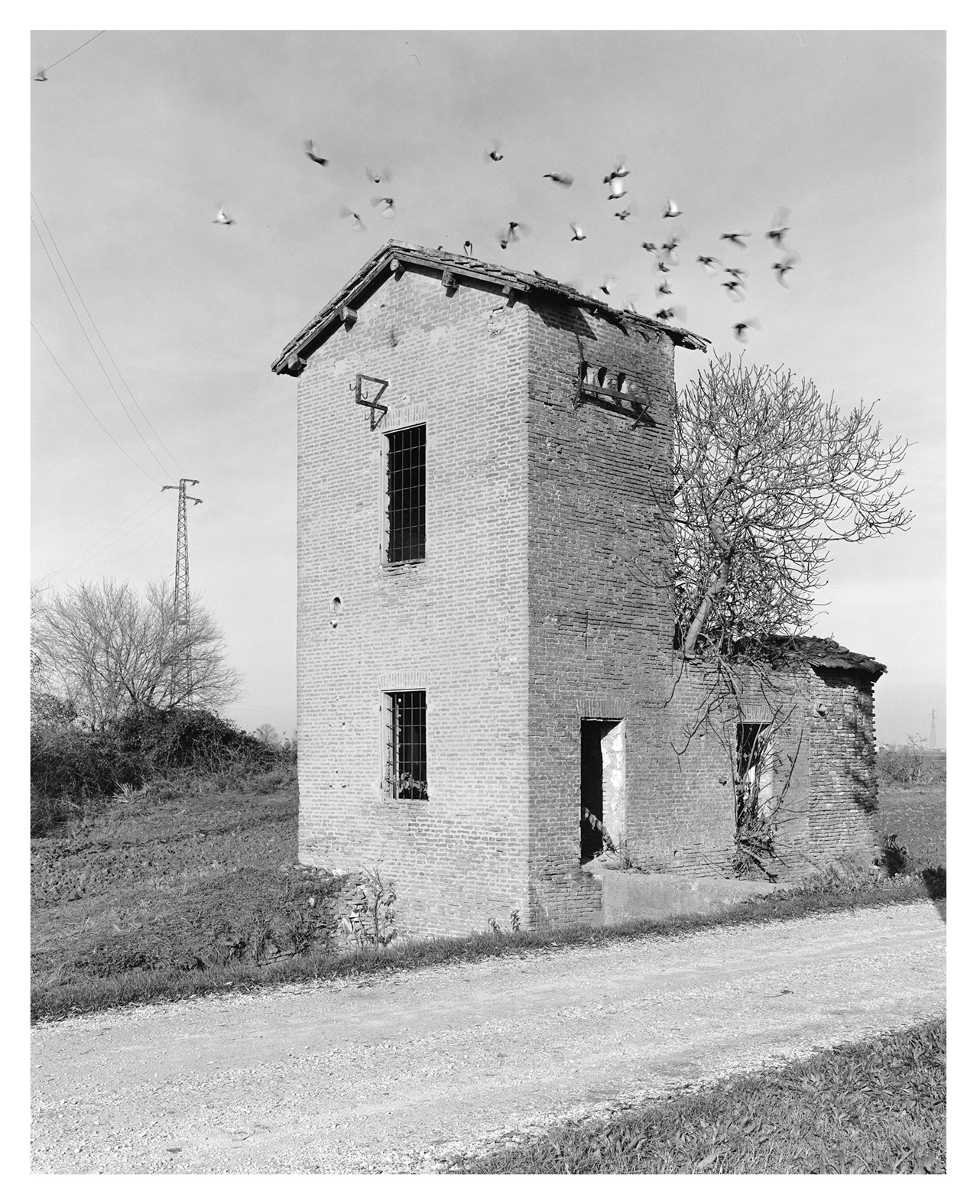 IMPAGINATO_2_Pagina_115