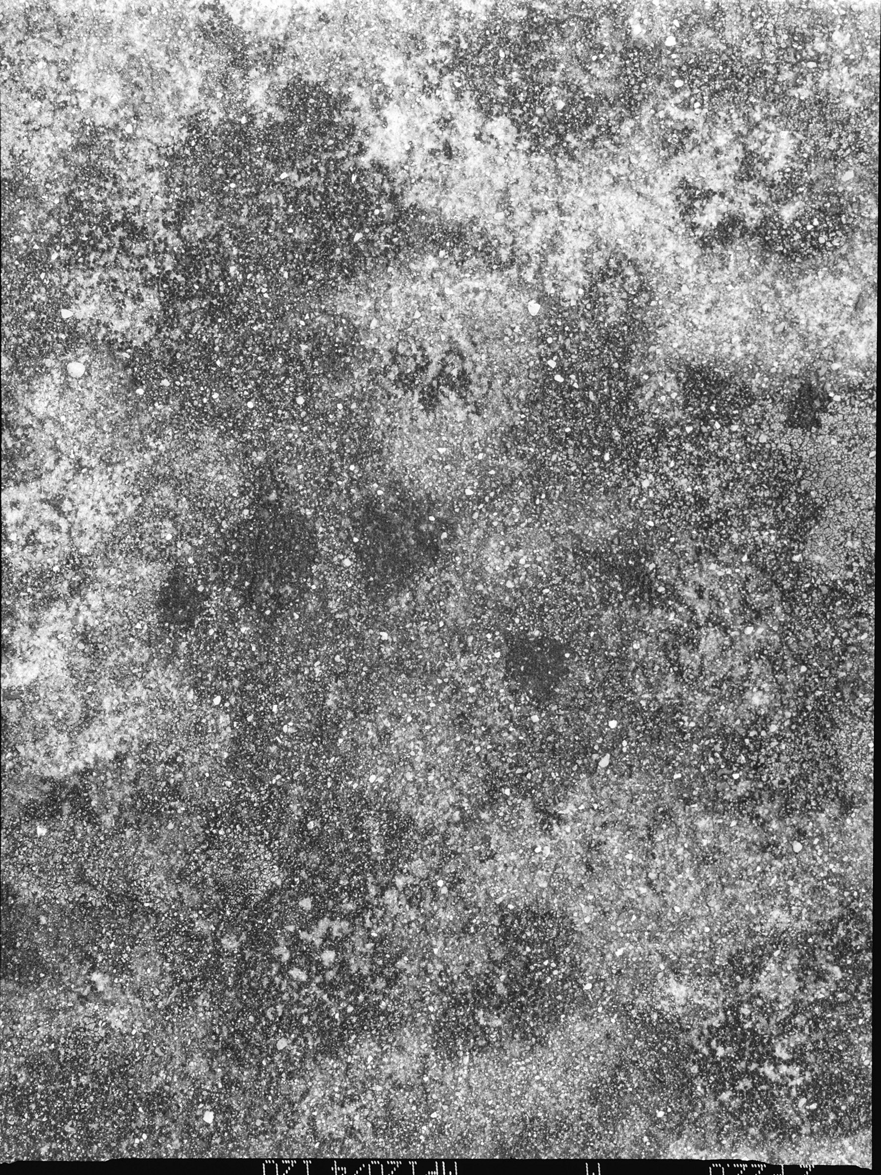 terzo paesaggio, muro