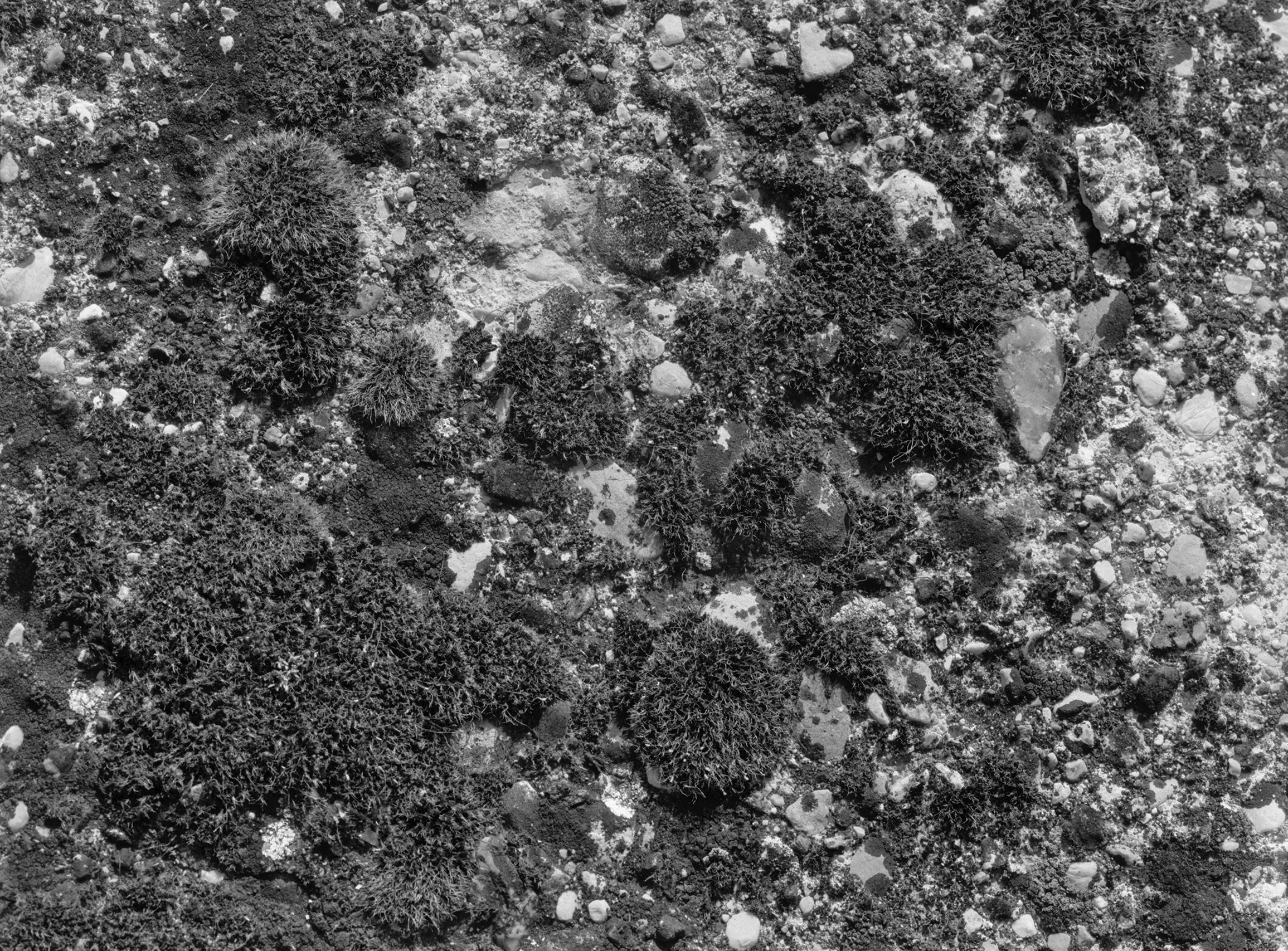 Terzo Paesaggio, macrocosmo